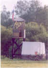 04vezastromy.jpg (69206 bytes)