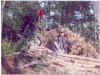 04vietcong.jpg (57002 bytes)