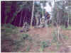 04vietcongoslavuje.jpg (48949 bytes)
